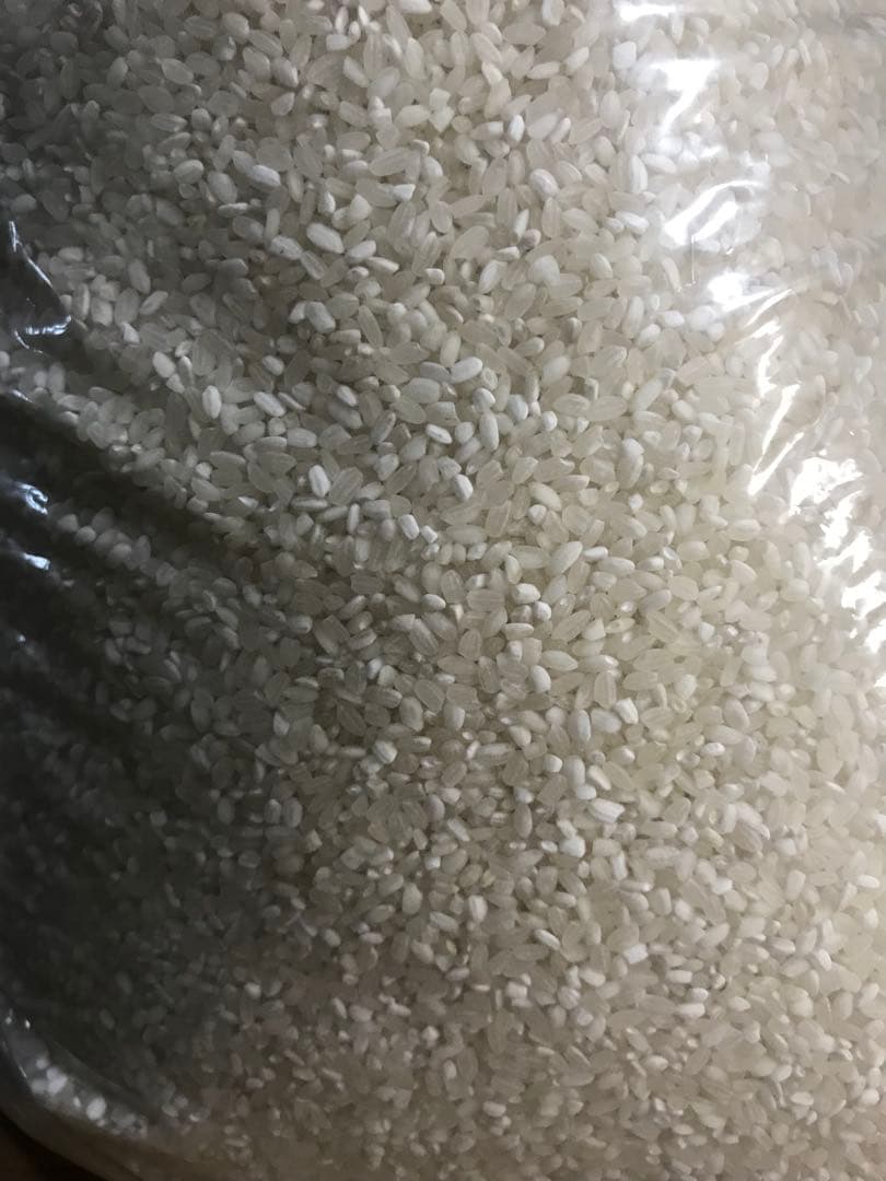 お米　30kg 専用