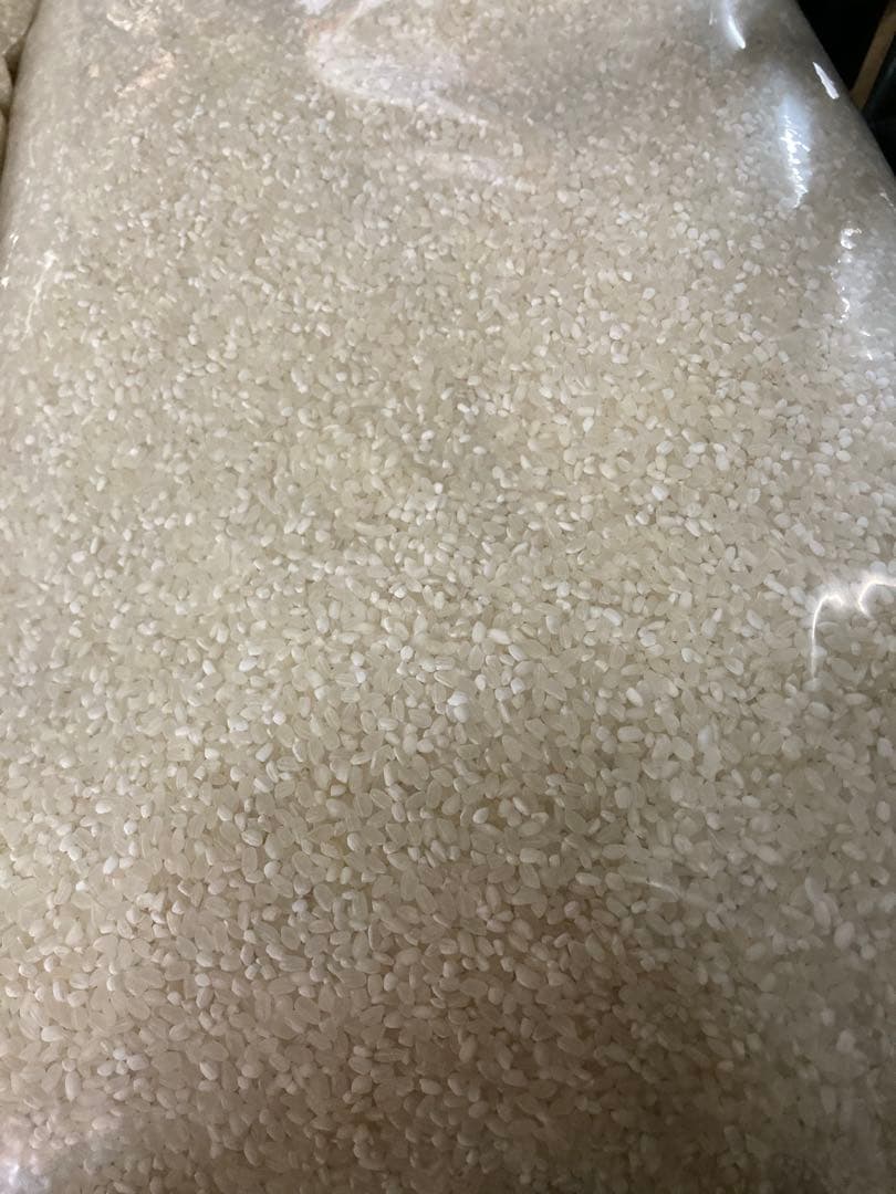 お米　30kg 専用