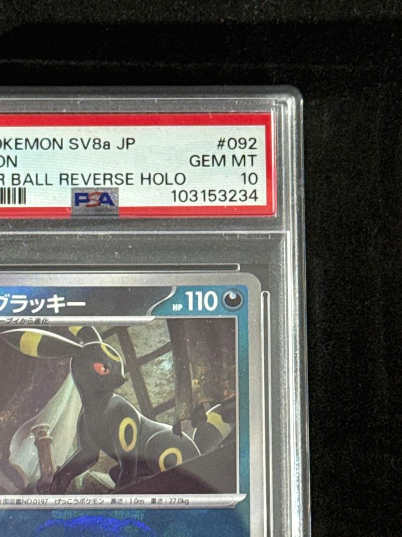 PSA10 ブラッキー マスターボールミラー テラスタルフェス ex