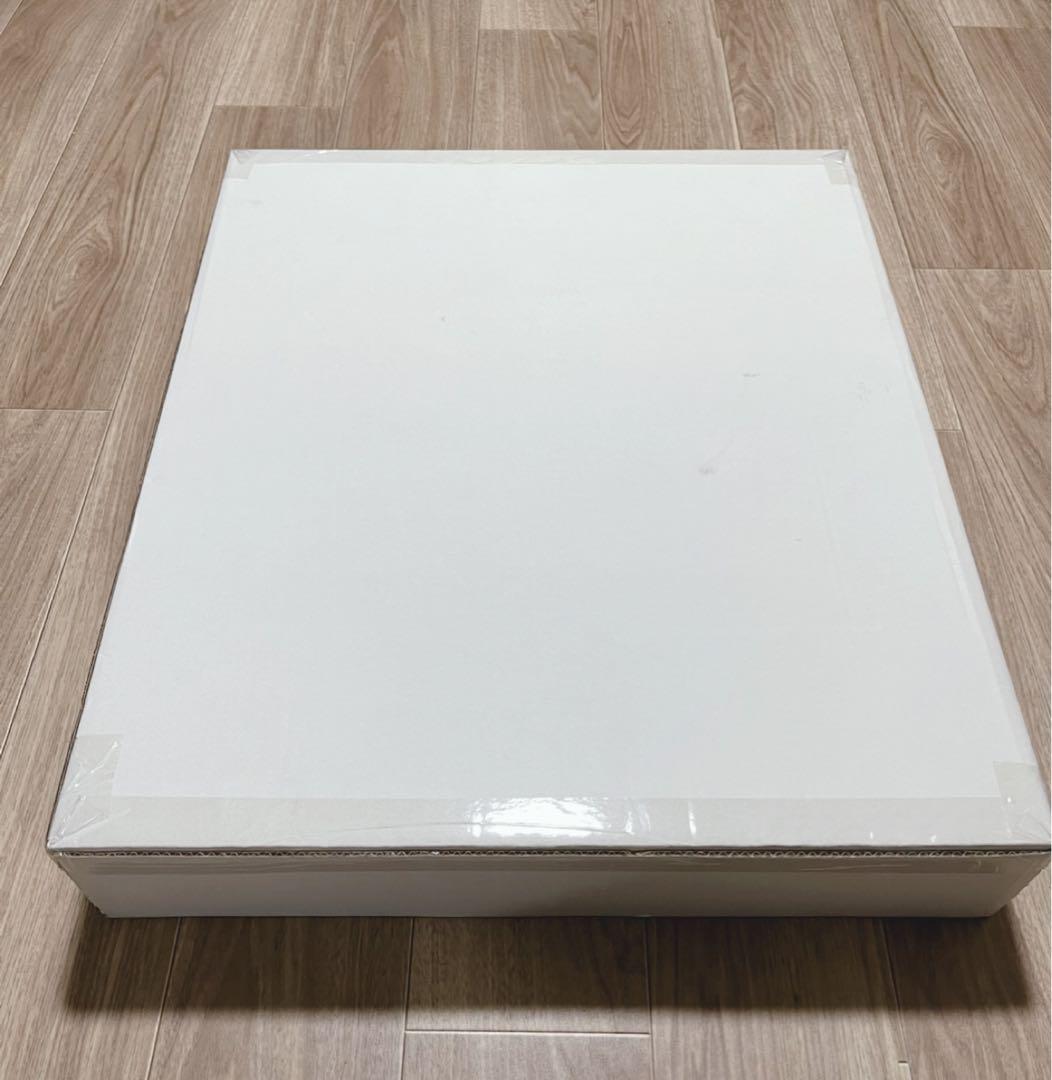 新品未開封　スノーピーク　 FDチェアワイド RD 2脚