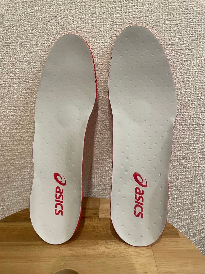 アシックス　DS LIGHT X-FLY 5 26.5cm