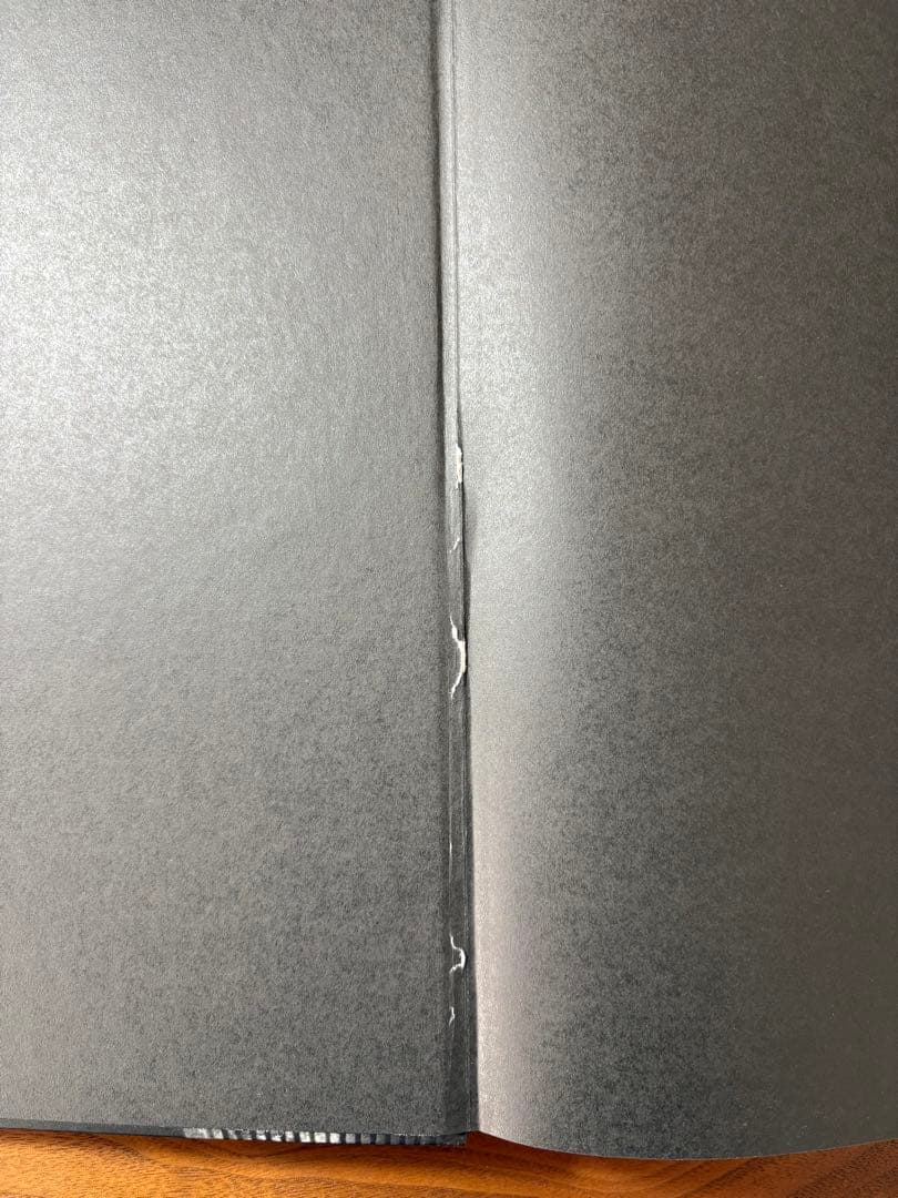 Alan Schaller Metropolis 写真集