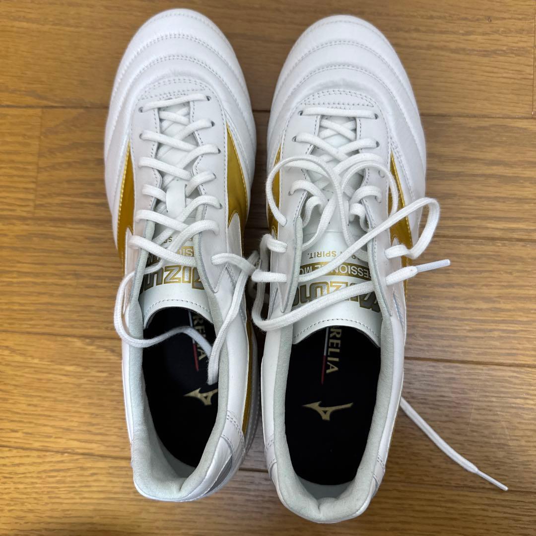 モレリア2Japan 26cm 限定色