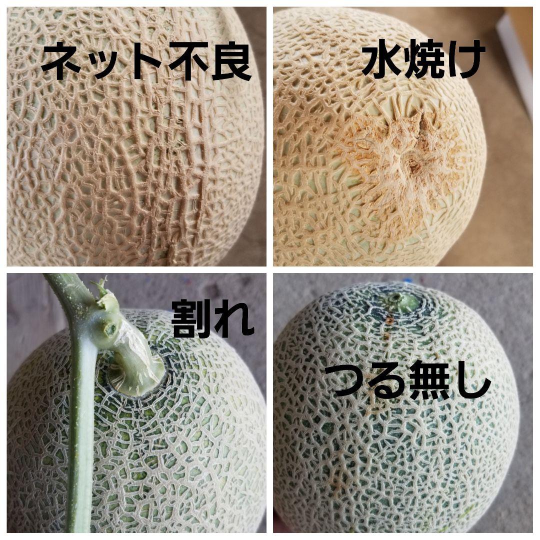 二箱梱包【訳あり品】北海道産　赤肉メロン　5玉入り　一箱8kg