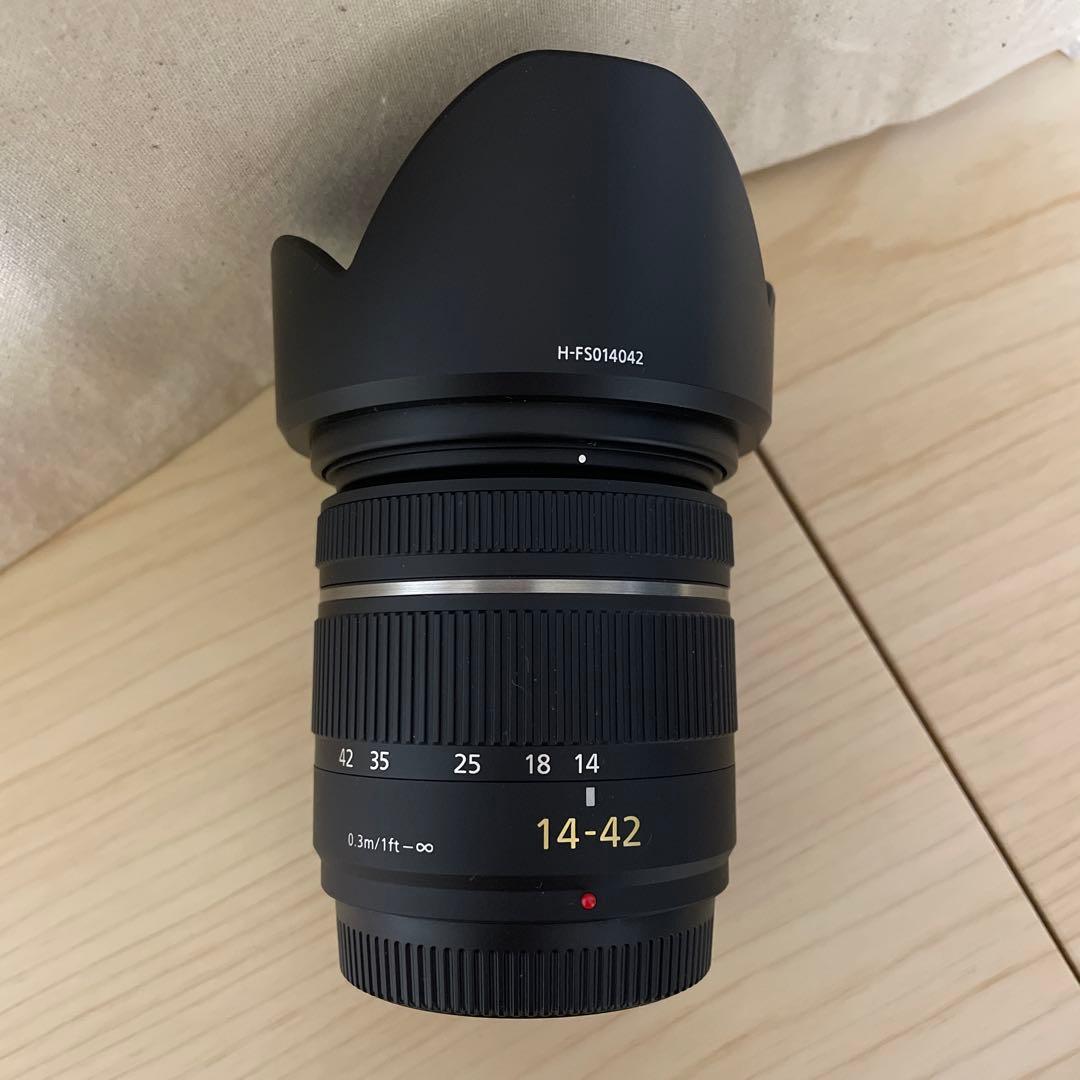 デジタルカメラ LUMIX Panasonic DMC-GF3W-T