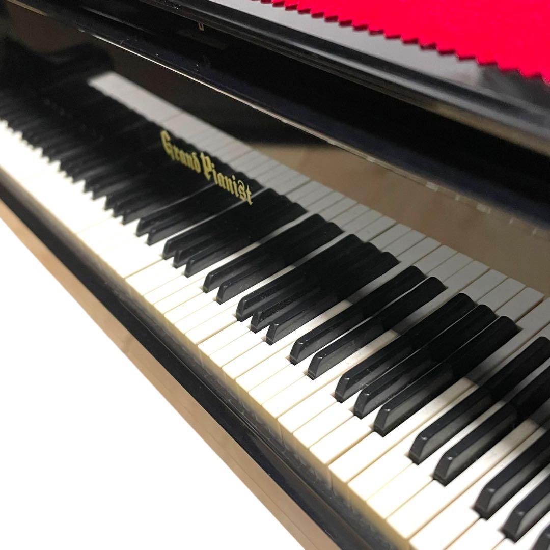 SEGATOYS グランドピアニスト 葉加瀬太郎さんのSDカード付属