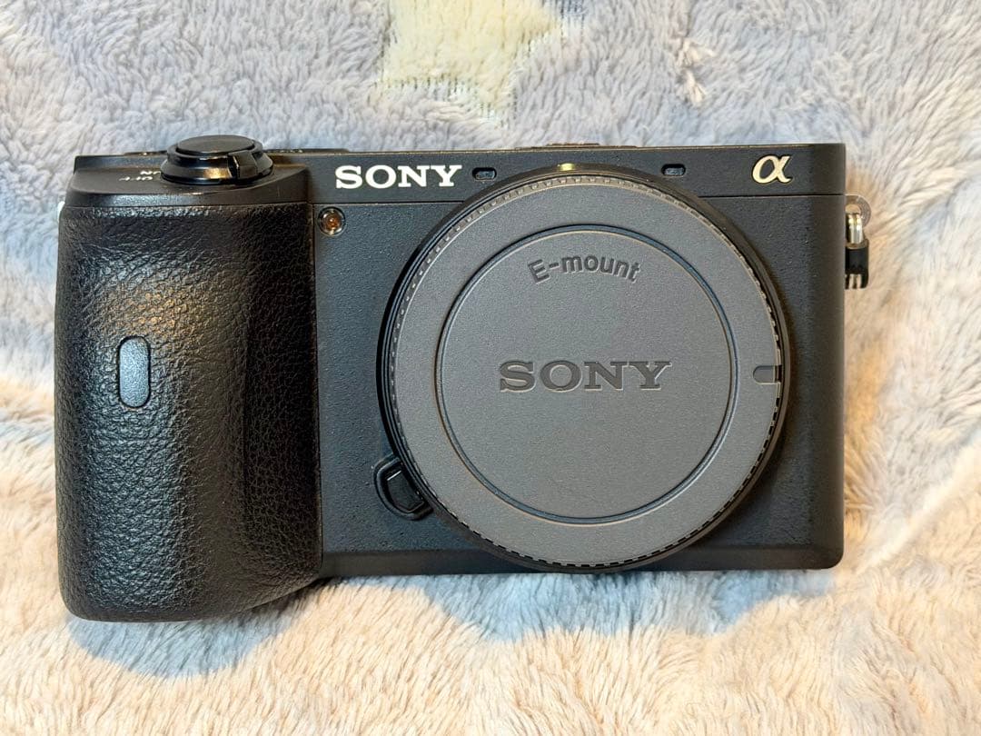 SONY α6600 ミラーレス一眼 本体・付属品一式 元箱付 中古美品