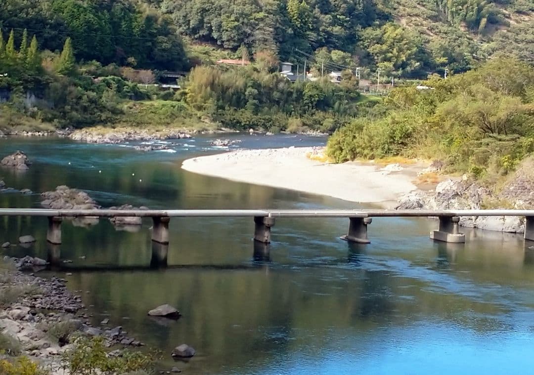 愛媛県産♥干し柿（愛宕柿）