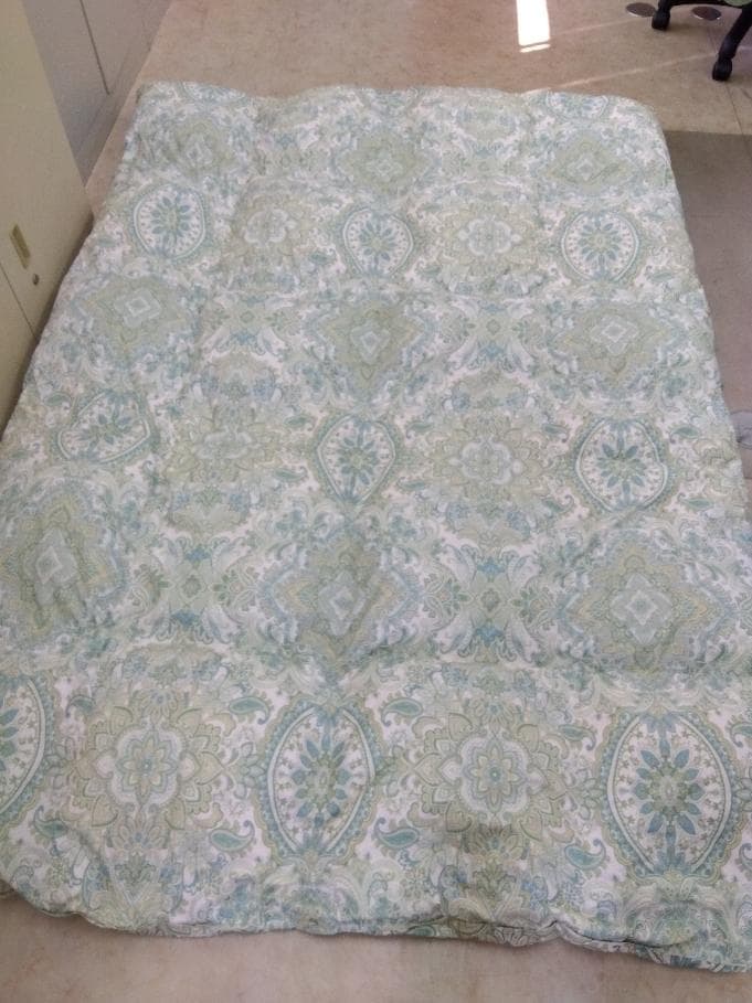 ace　西川　羽毛掛け布団