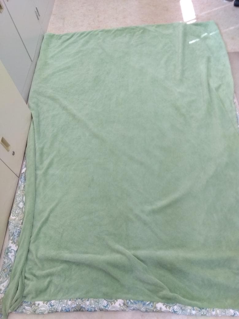 ace　西川　羽毛掛け布団