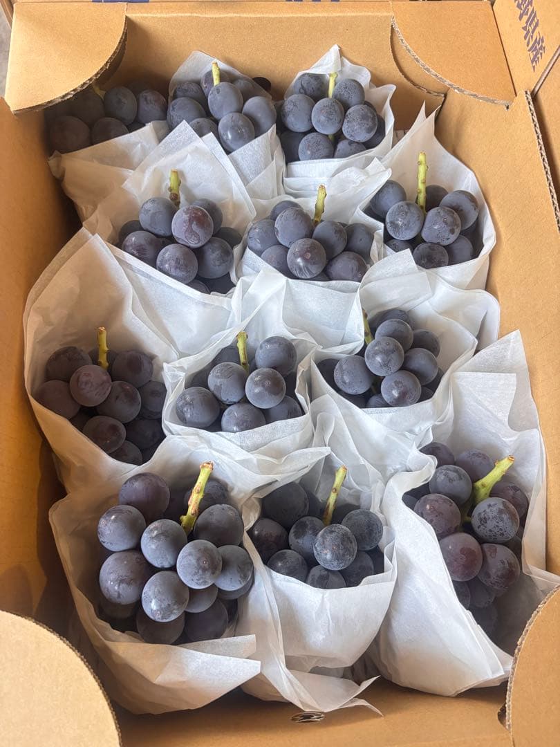 長野県産巨峰ぶどう无籽 5キロクール便
