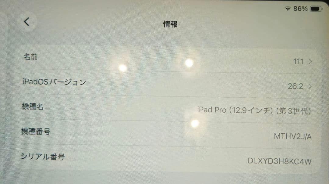 ipad pro 12.9インチ 第3世代 256GB
