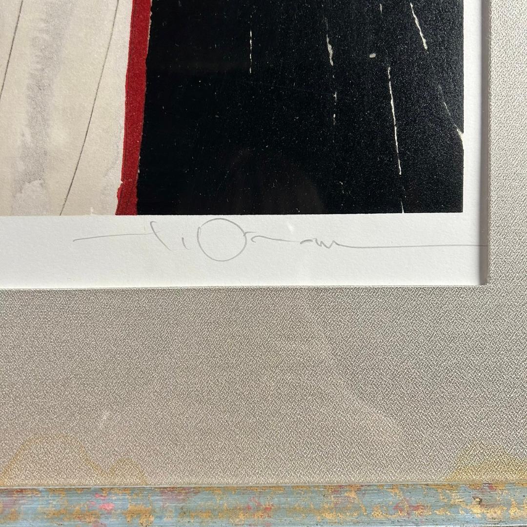 天野喜孝「彩」リトグラフ 直筆サイン入り 25号 大作 ファイナルファンタジー