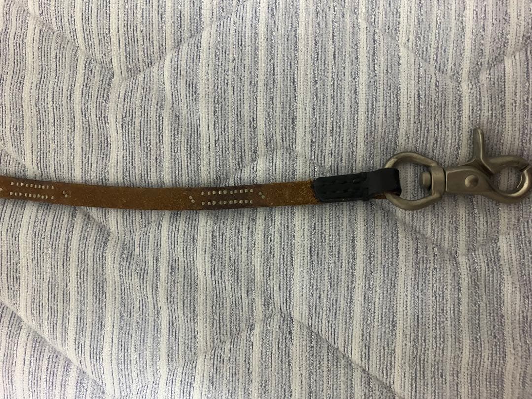 WOLFS HEAD ウルフズヘッド ウォレット コード スタッズ　藤井フミヤ着