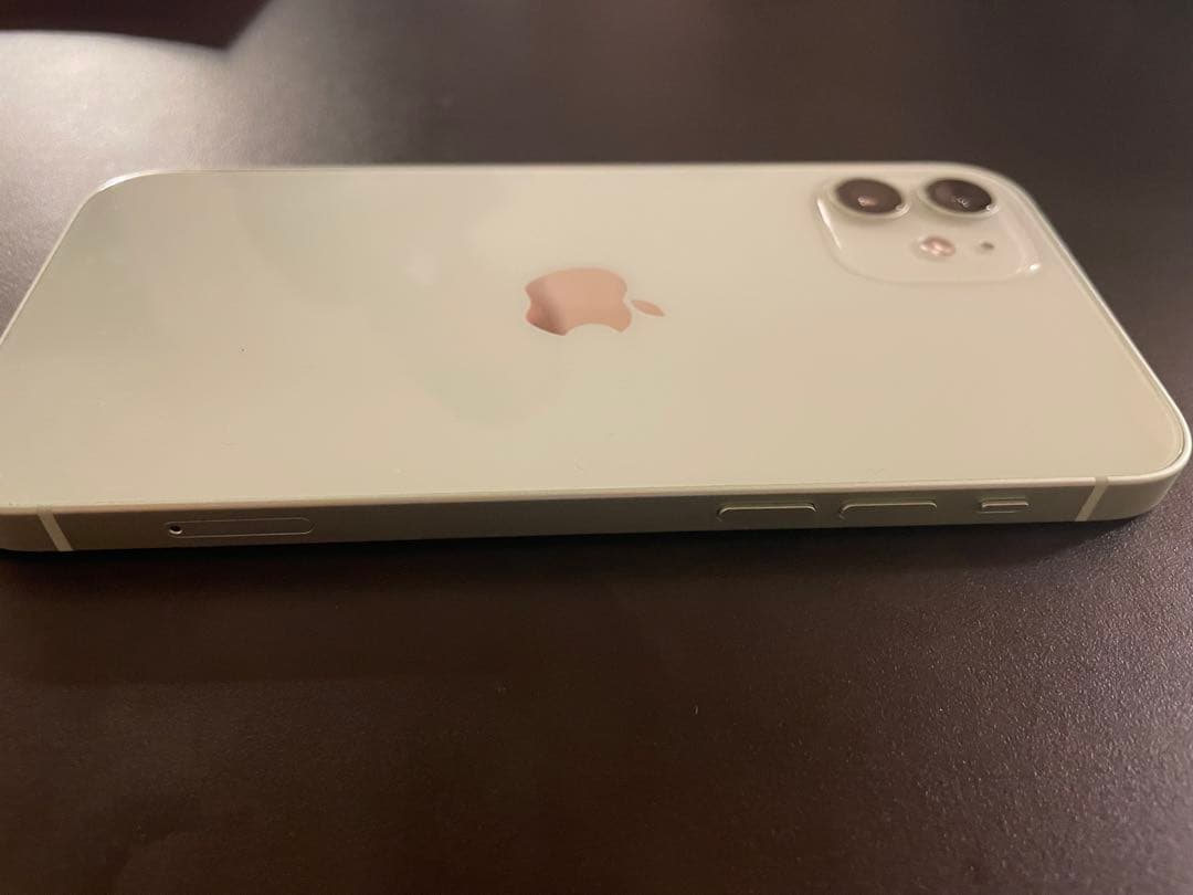 Apple iPhone 12 ライトグリーン　64GB SIMフリー