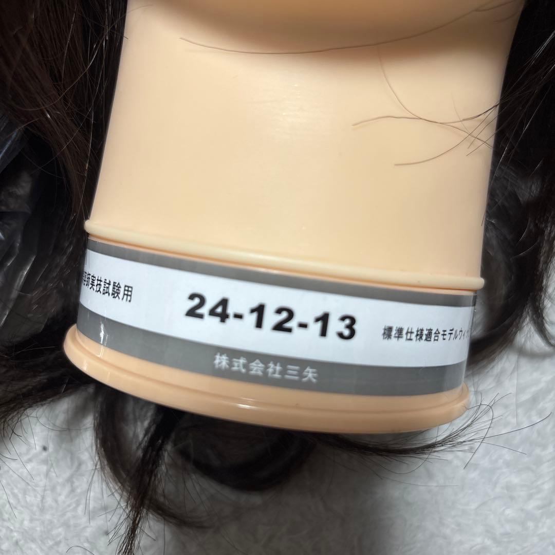 国試本番用カットウィッグ3体