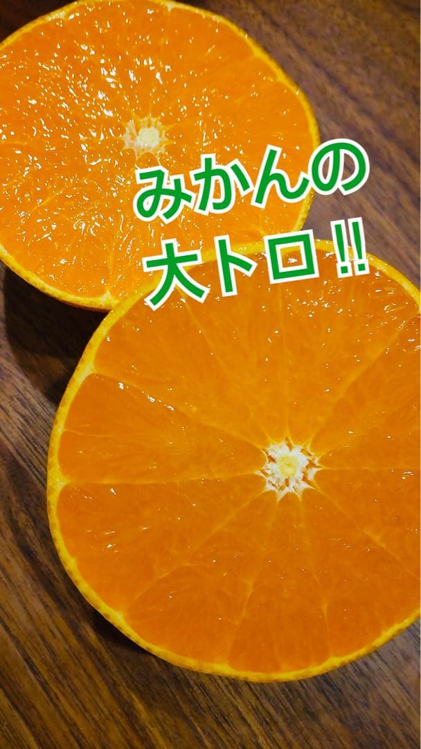 せとか 10玉　2箱セット