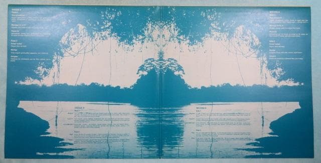 その他 Ariel Kalma, Richard Tinti / Osmose -2LP
