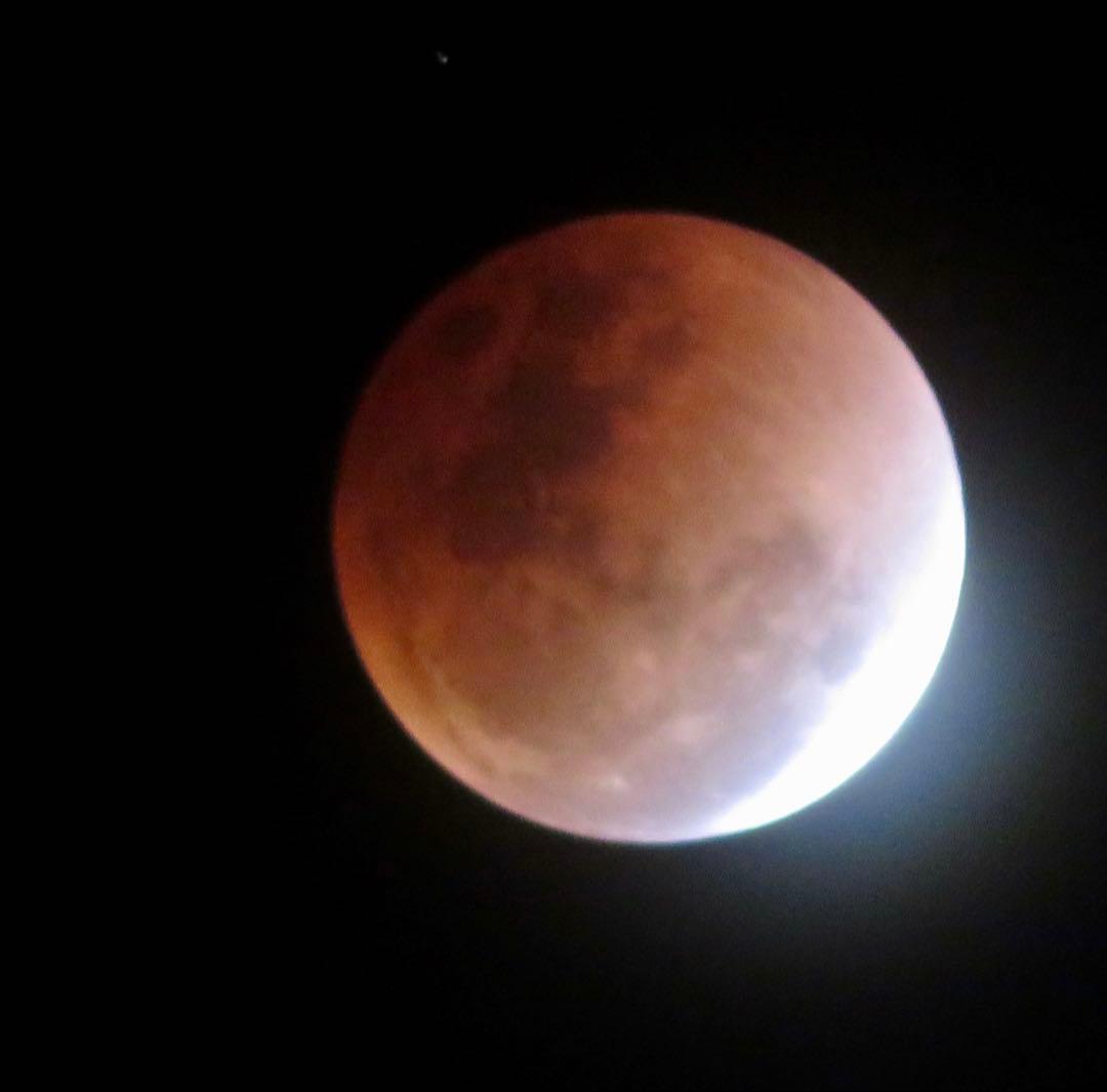 美品　良好　Canon PowerShot SX700 HS 本体