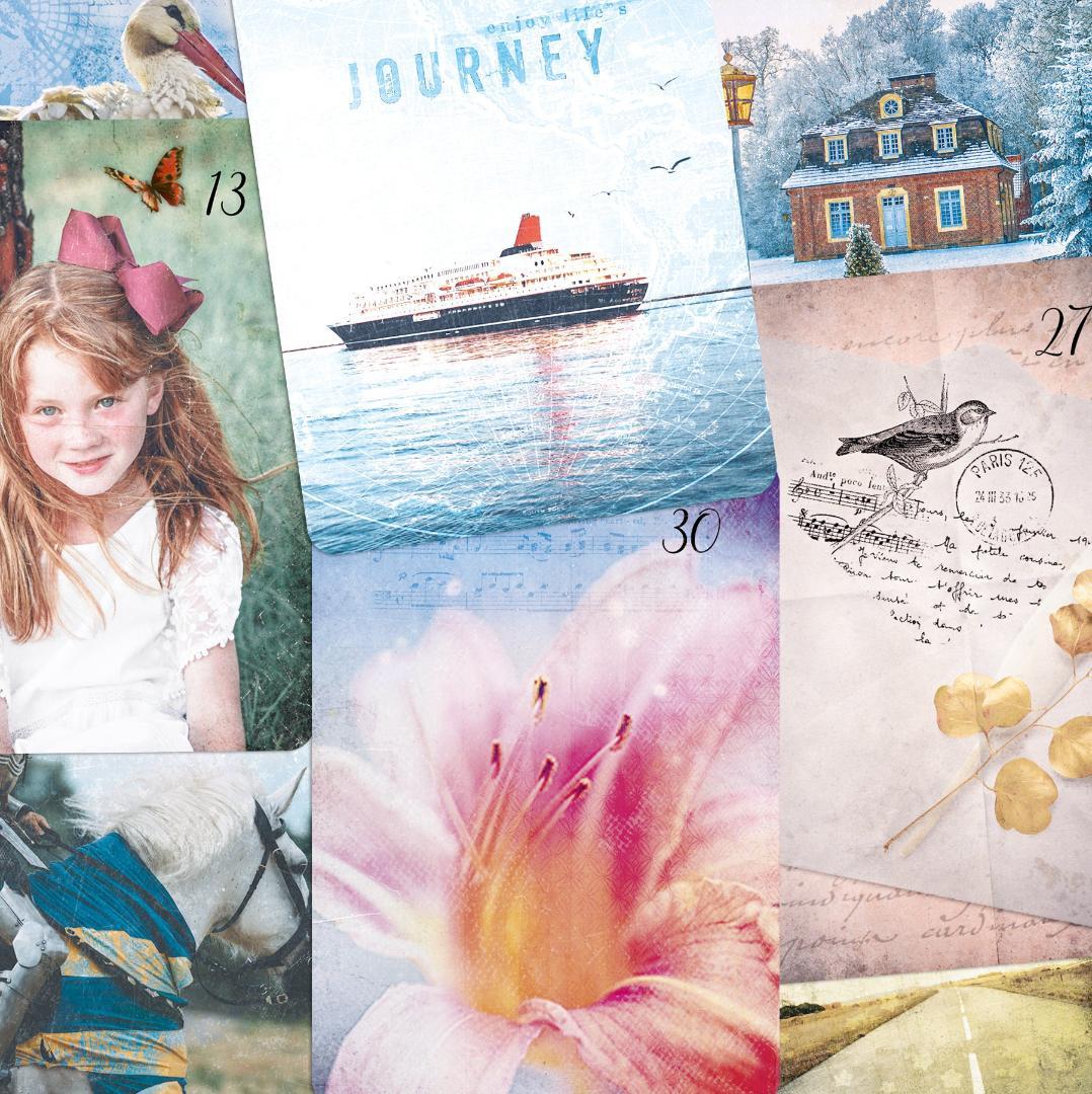 まろん★ルノルマン