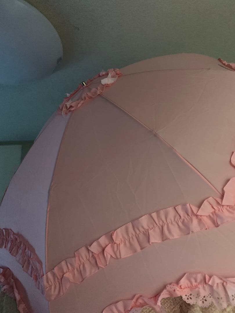 イルカの夢でさようなら　折りたたみ傘