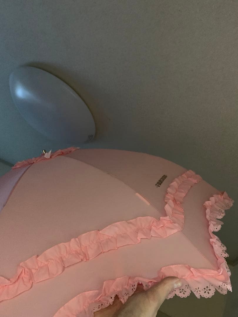 イルカの夢でさようなら　折りたたみ傘