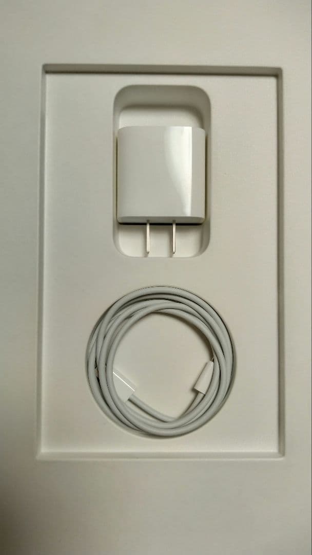 【最終値下げ】12.9インチiPad Pro（第4世代）Wi-Fi 128GB