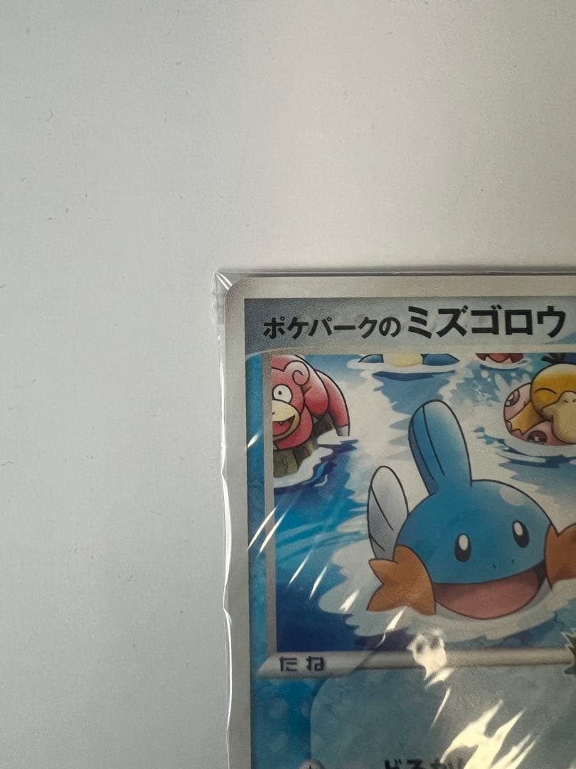 【未開封】ポケパークのミズゴロウ プロモ 048/PCG-P ポケモンカード