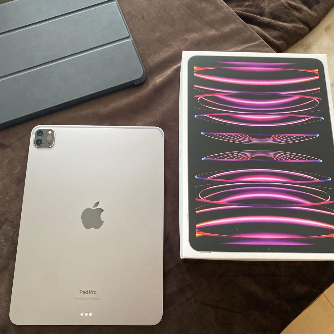 Apple iPad Pro 11インチ　本体　256GB ナイ