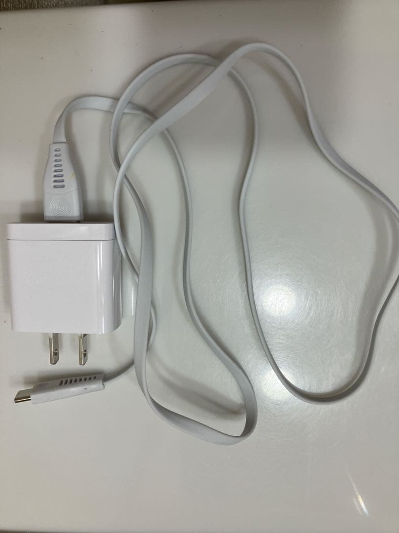 Panasonic ドルツ EW-DT72 ブラシ付き