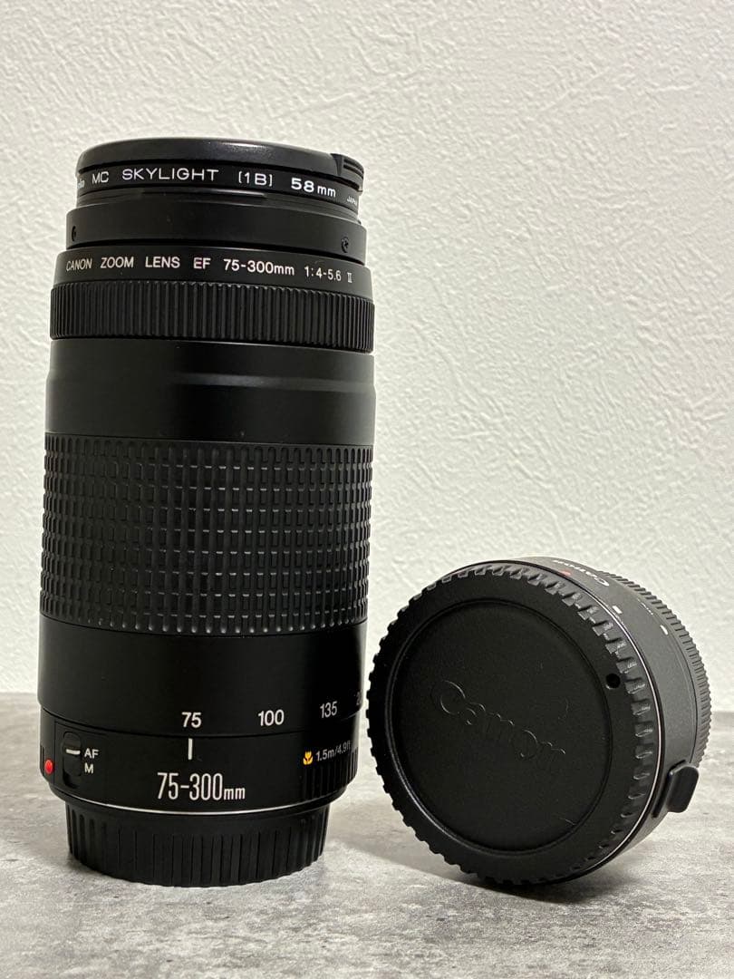 ⭐️美品⭐️Canon EF 75-300 II & EF-EOS M アダプター