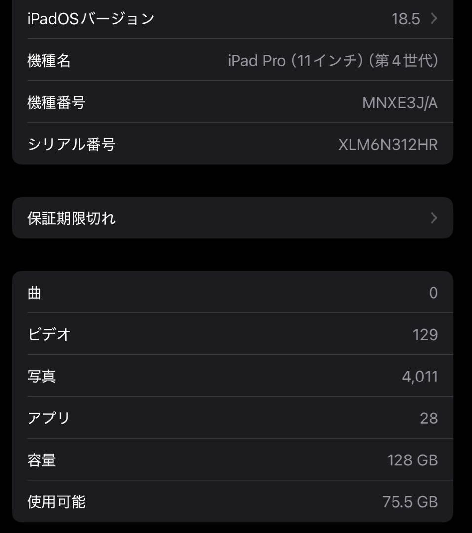 iPad Pro 11 ４世代 128GB