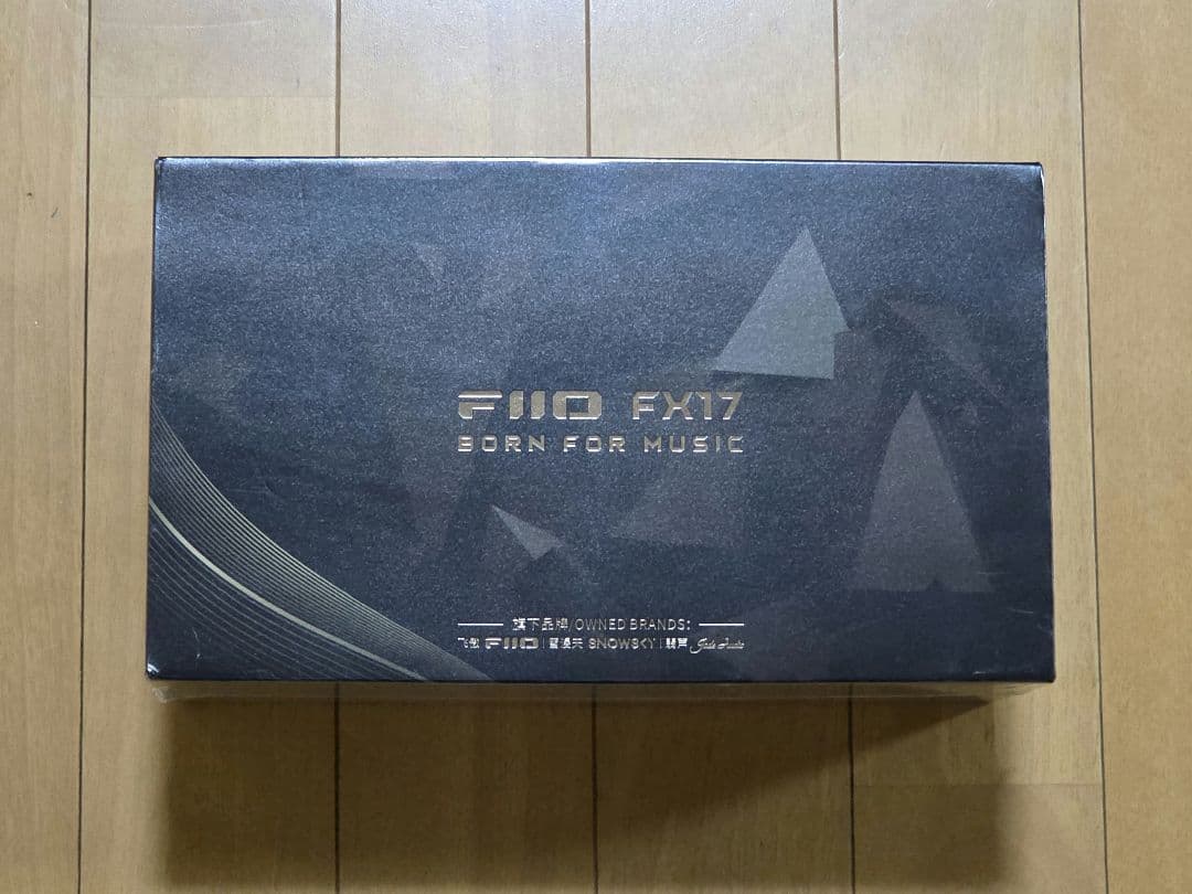 【未開封新品】FiiO FX17 【即日発送】