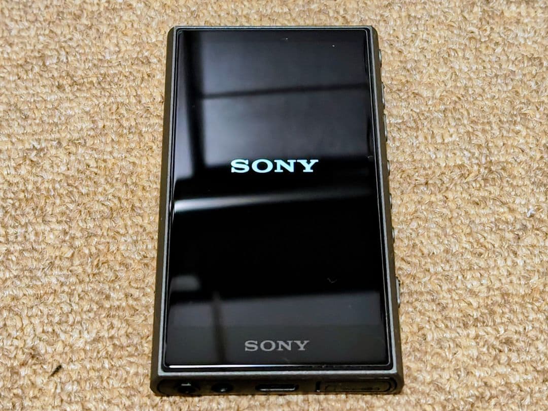 SONY NW-A306 32GB グレー　 ガラスフィルム　ケース付き