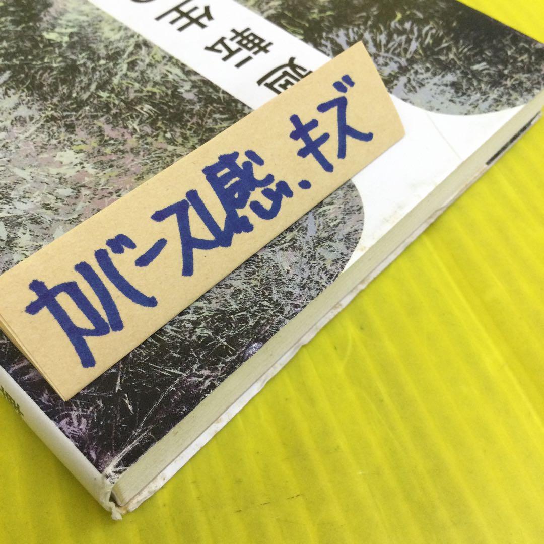 輪廻転生の中で 徳山暉純著 暉