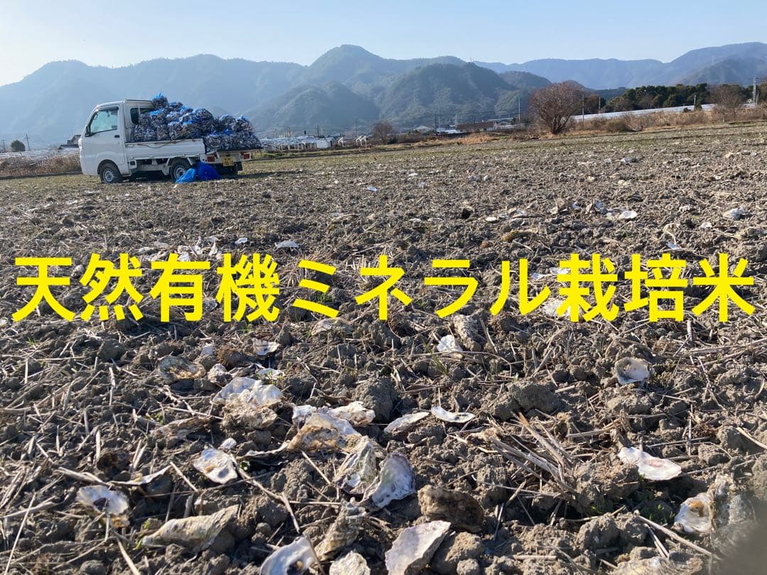 2025年産ゆうだい21 玄米20kg