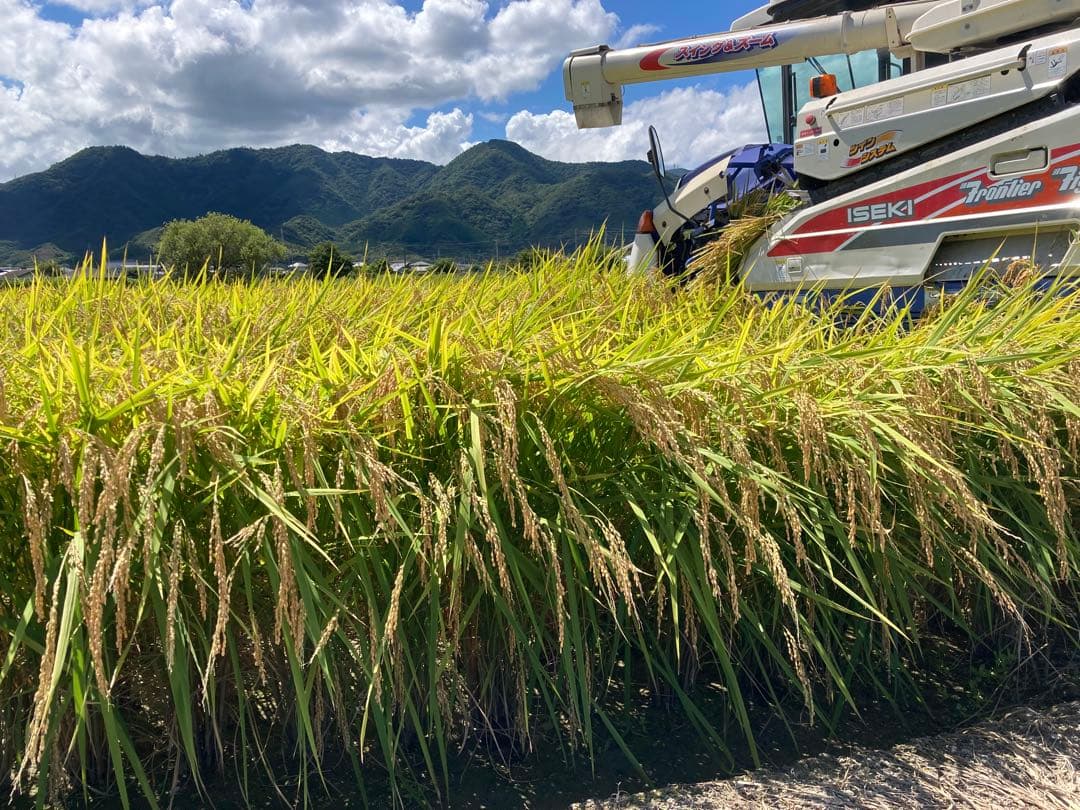 2025年産ゆうだい21 玄米20kg