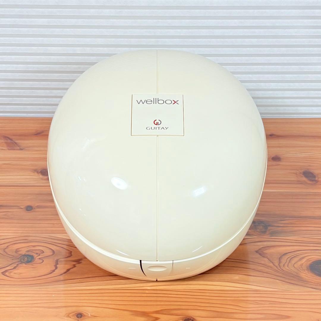 ウェルボックス エンダモロジー WELLBOX 痩身マシン エステ セルライト