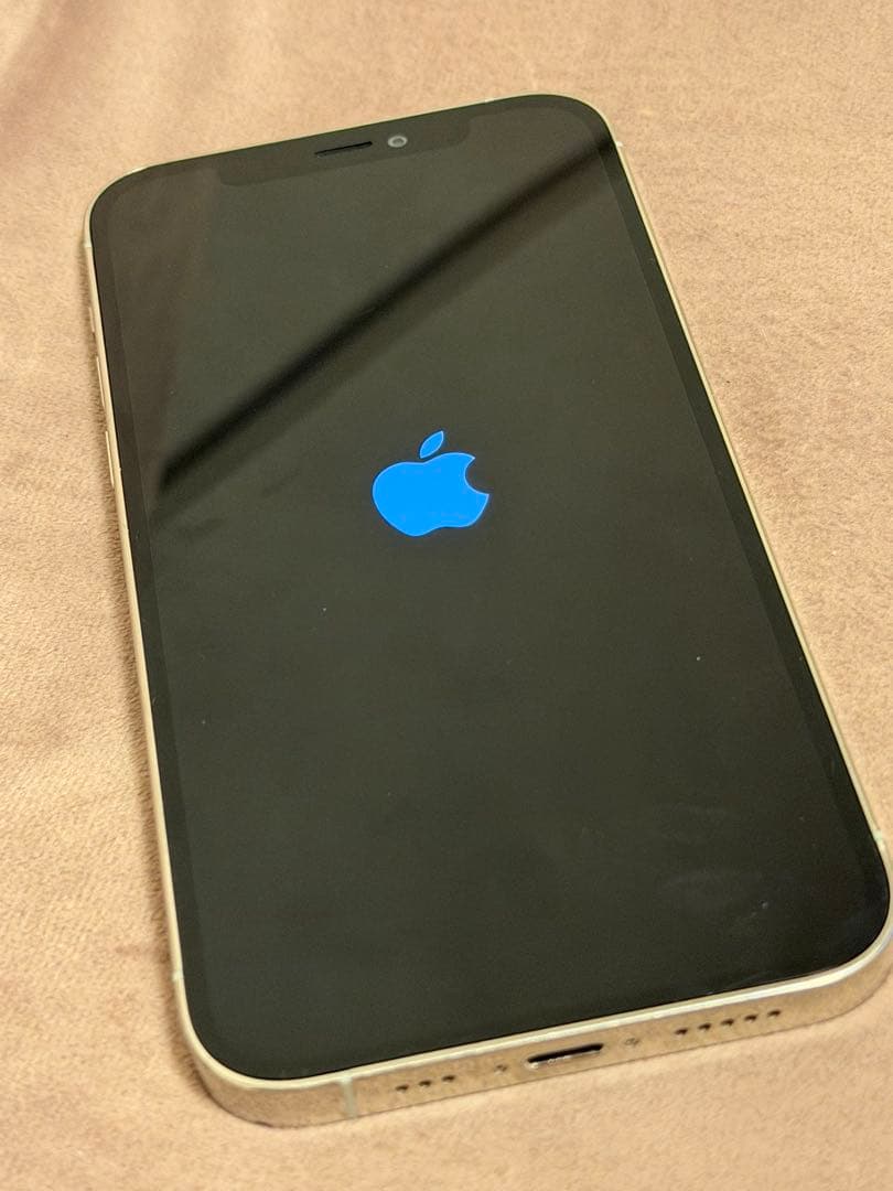 L*y様 Apple iPhone 12 Pro シルバー 本体