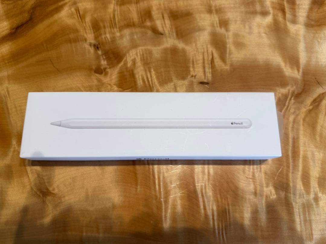 iPadPro12.9 （第4）256GB セルラーApple pencil付