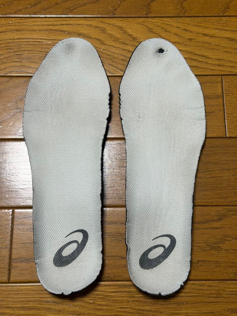 初期限定モデル　ゴアテックス　日本製　アシックス　ウィンジョブ　安全靴　26cm