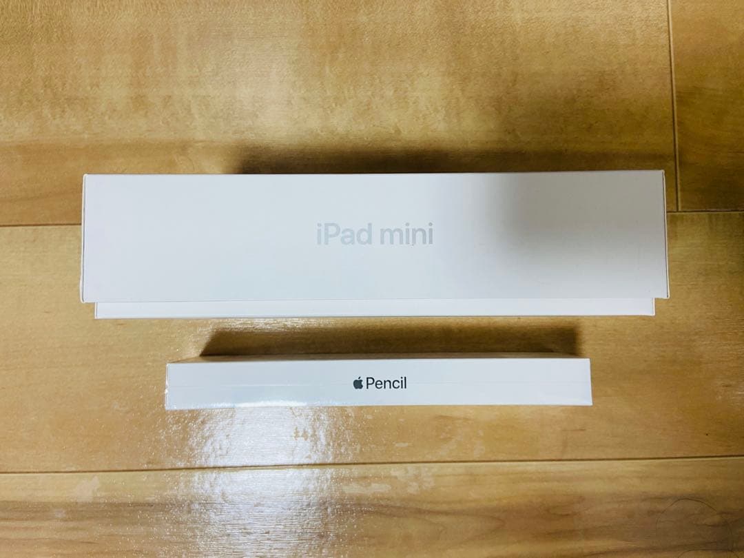 iPad mini5 64GB セルラー Apple Pencil付 動作良好