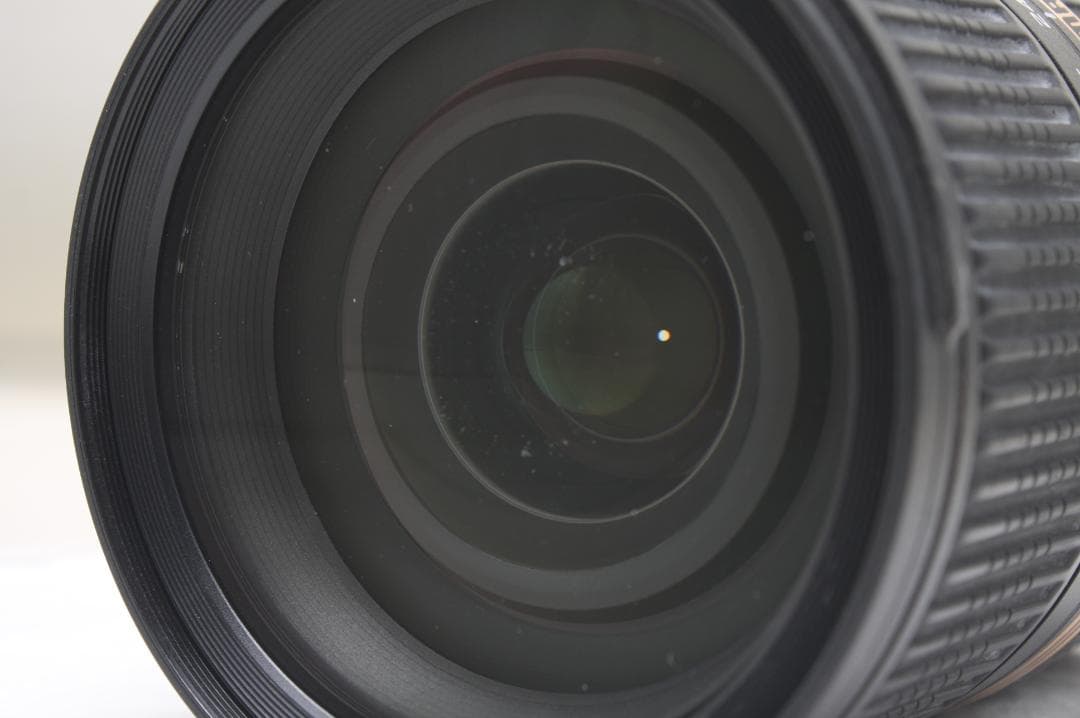 タムロン SP 24-70mm F2.8Di USD ソニーA A007