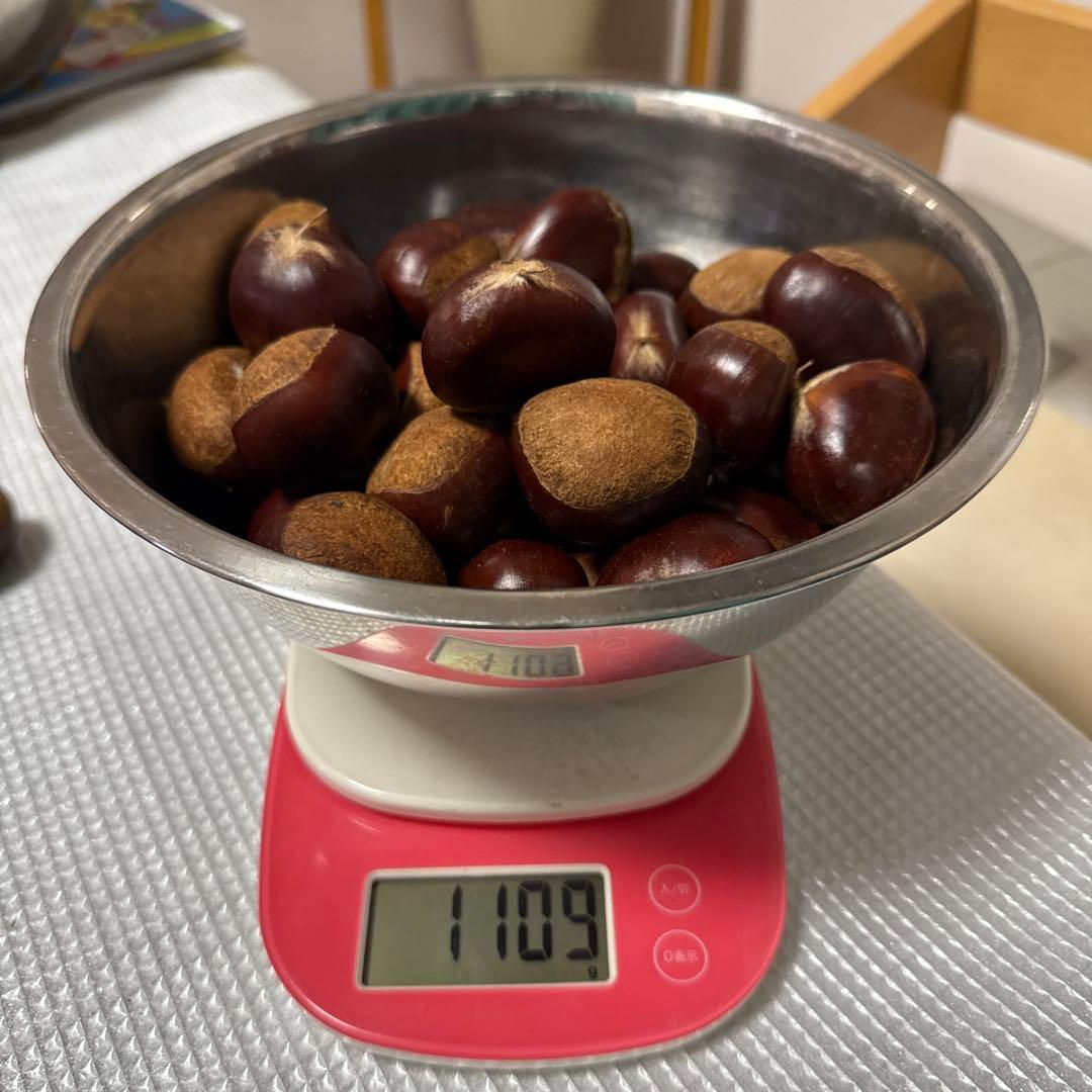 デンカジュマジュロ　11/10以降出品