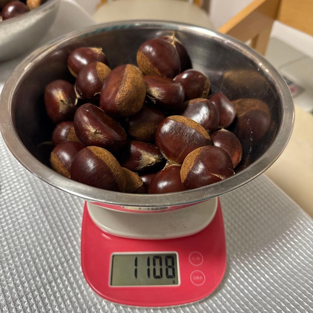 デンカジュマジュロ　11/10以降出品