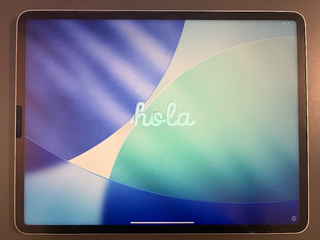 さ*)様 iPad Pro 12.9 第5世代(M1) 256GB Cellul