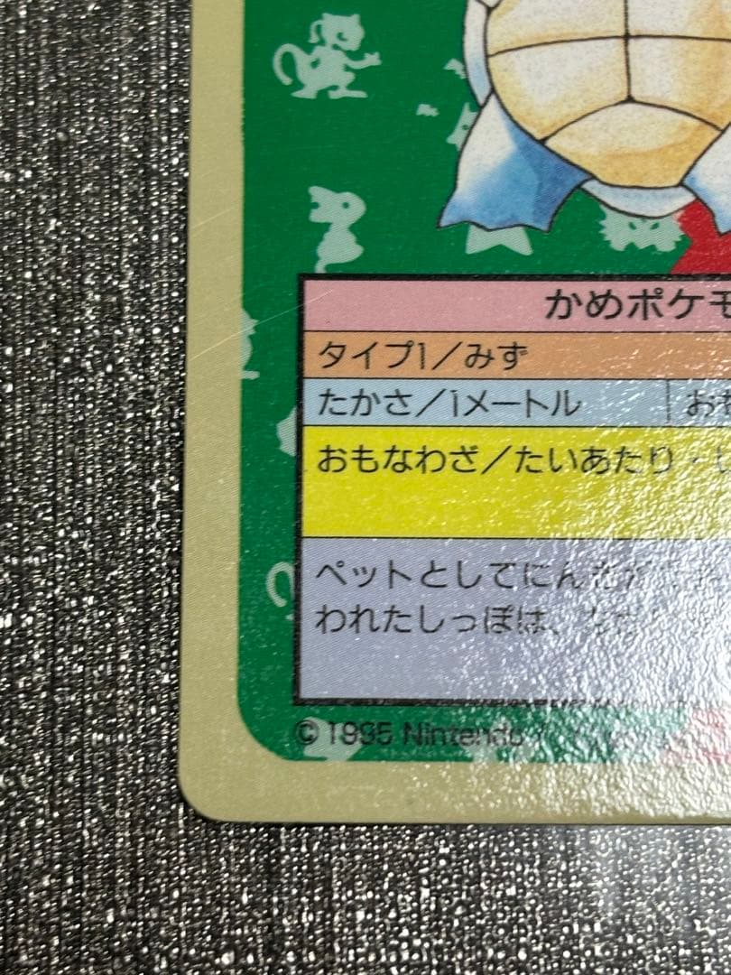 【セット】ポケモンカード　トップサン　カメックス　裏緑　カメール　裏青