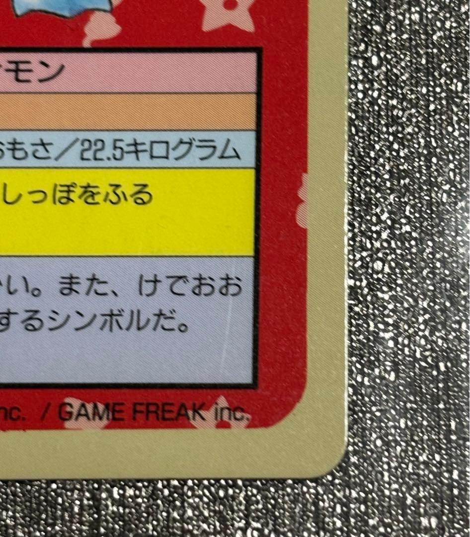 【セット】ポケモンカード　トップサン　カメックス　裏緑　カメール　裏青