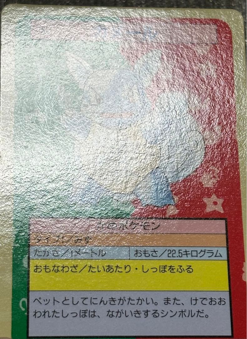 【セット】ポケモンカード　トップサン　カメックス　裏緑　カメール　裏青
