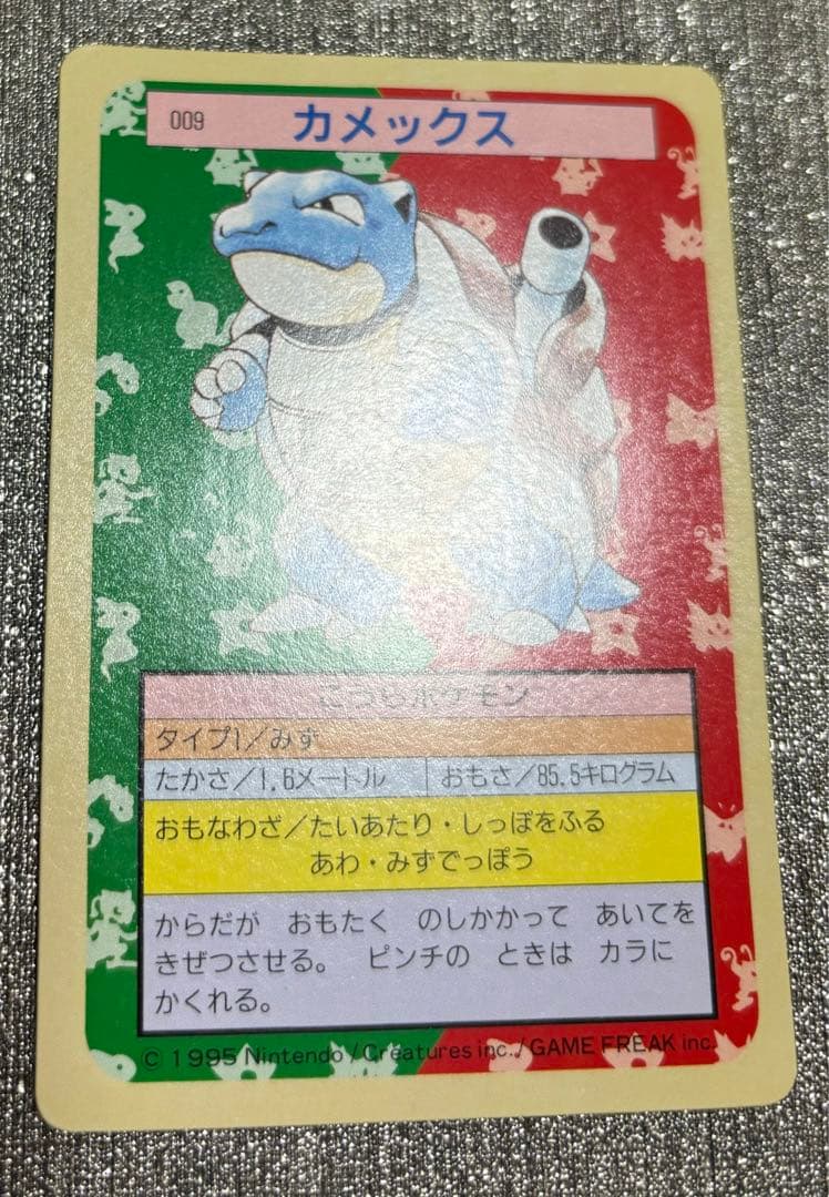 【セット】ポケモンカード　トップサン　カメックス　裏緑　カメール　裏青
